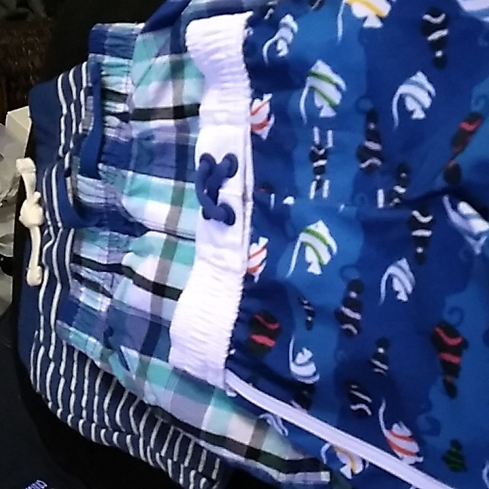 2 pairs of shorts 1 pair of swim trunks 0-3